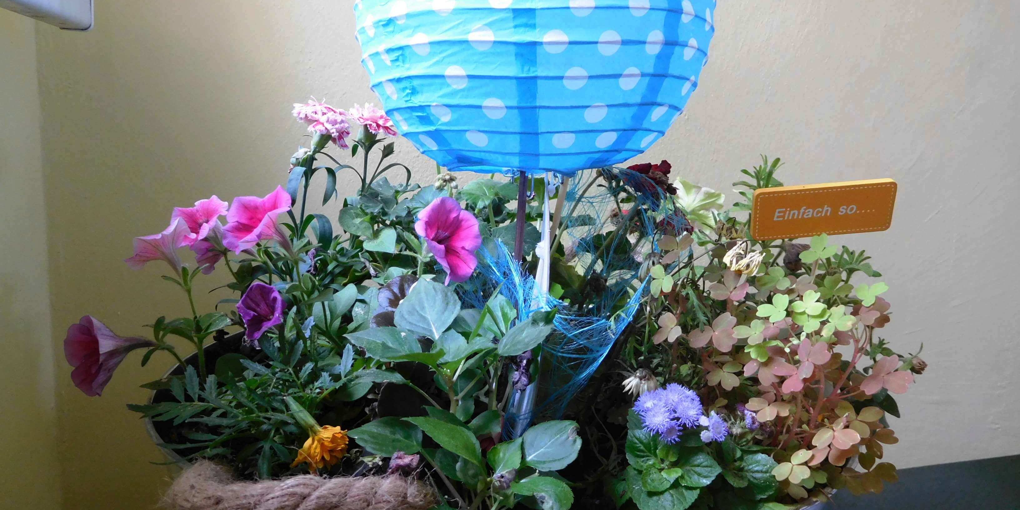 20180429_Flower_PowerDSCN0216_2