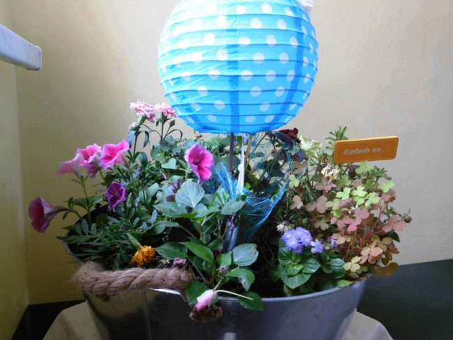 20180429_Flower_PowerDSCN0216_2