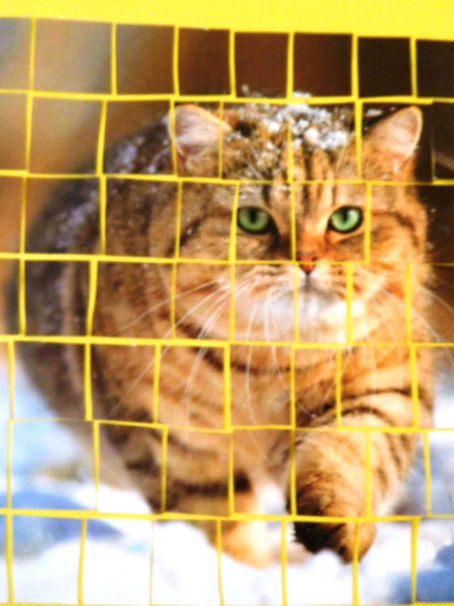 20180930_Fotopuzzle_Klasse3_DSCN0599_2