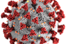 20200313_256px-2019-nCoV-CDC-23312_without_background